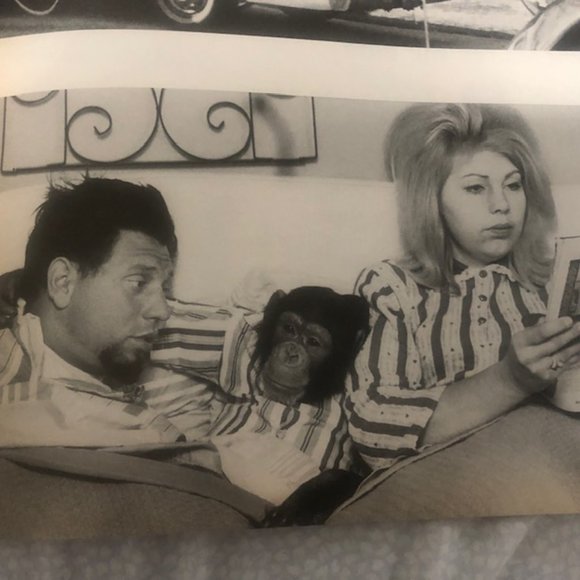 Vintage Life Mag. April 1971 - Hoover -FBI Advertisi-Vietnam-Exotics- John Deere - Picture 7 of 14